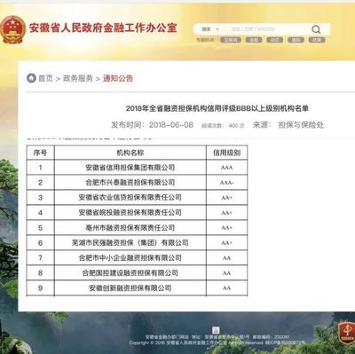 亳州市擔保公司榮獲2018年全省融資擔保機構(gòu)信用評級AA+級別