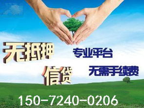 陽邏信用借貸公司 信用擔保服務解析