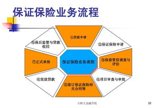 信用保證保險理賠全解析 以陽光保險為例